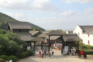 桃花岛一日游 探秘大帐坊的武侠风情